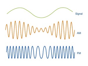 04_MRA388-Figure4.jpg